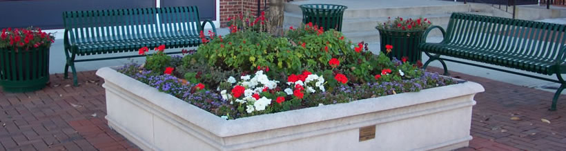 Main Street Image