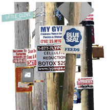 NO SIGNS ALLOWED ON TREES, POLES