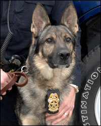 Somerset Borough Police Officer Photo