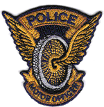 Motor Unit Patch