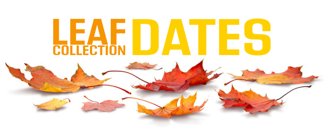 Leaf Collection Dates Graphic