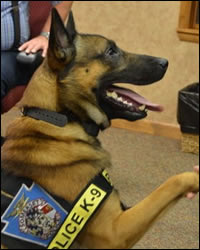 Somerset Borough Police Officer Photo