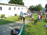 National Night Out  - Photos