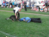 National Night Out 2011 - Photos