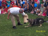 National Night Out 2010 - Photos