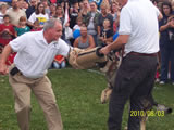 National Night Out 2010 - Photos