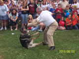 National Night Out 2010 - Photos