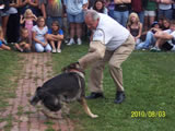 National Night Out 2010 - Photos