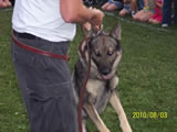 National Night Out 2010 - Photos