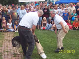 National Night Out 2010 - Photos