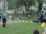 National Night Out 2011 - Photos