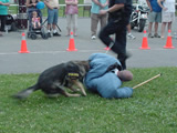 National Night Out 2011 - Photos