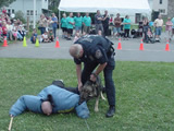 National Night Out 2011 - Photos